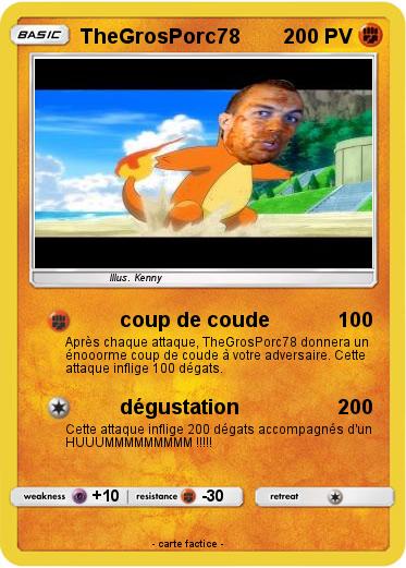 Pokemon TheGrosPorc78