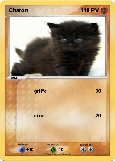 Pokemon Chaton