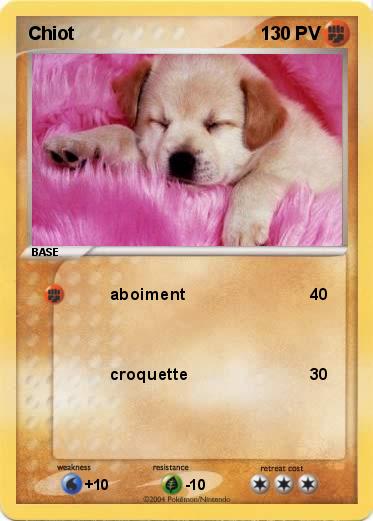 Pokemon Chiot