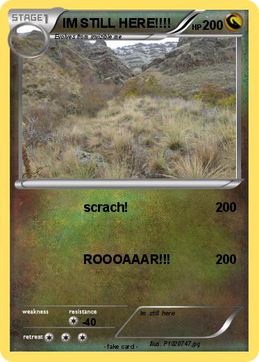 Pokemon IM STILL HERE!!!!