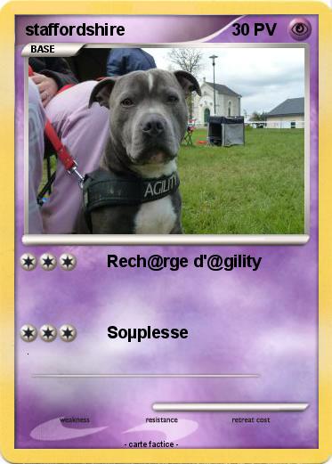 Pokemon staffordshire