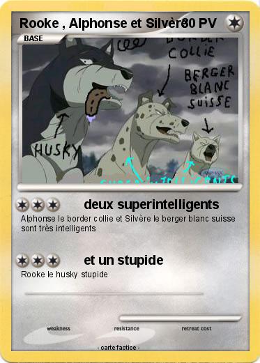 Pokemon Rooke , Alphonse et Silvère
