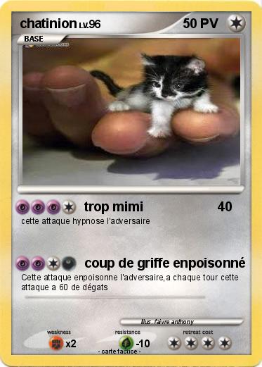 Pokemon chatinion
