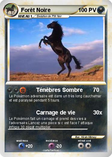 Pokemon Forêt Noire