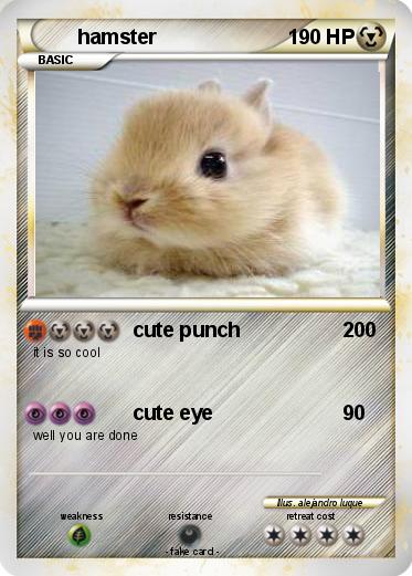 Pokemon hamster
