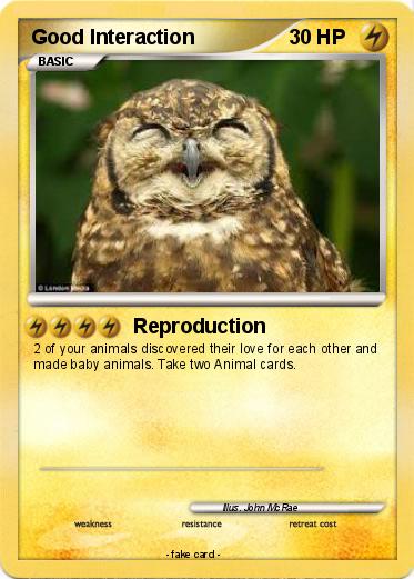 Pokemon Good Interaction