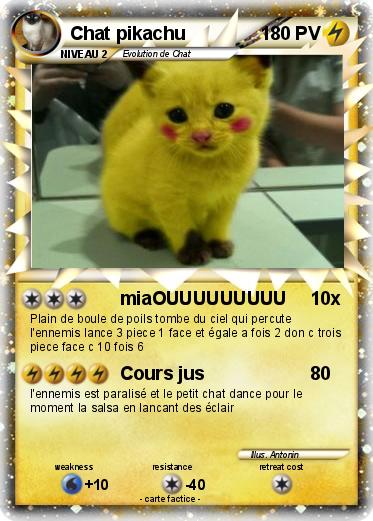 Pokemon Chat pikachu