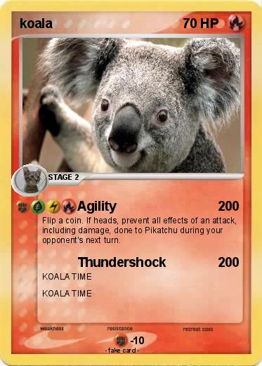 Pokemon koala