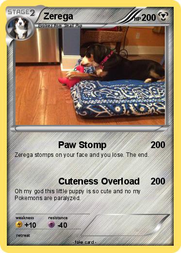 Pokemon Zerega