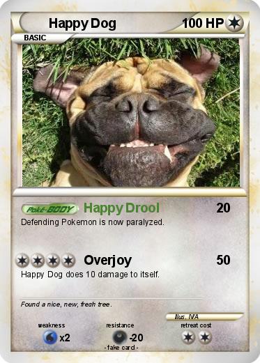 Pokemon Happy Dog