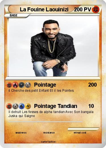 Pokemon La Fouine Laouinizi