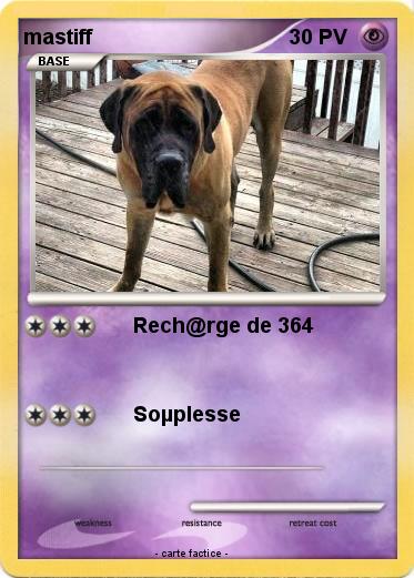 Pokemon mastiff