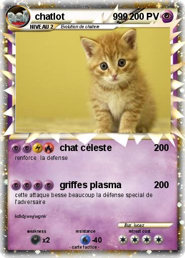 Pokemon chatlot                   999