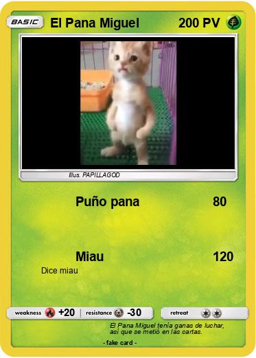 Pokemon El Pana Miguel