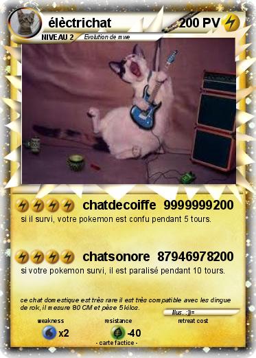 Pokemon élèctrichat