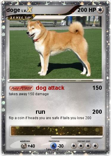 Pokemon doge