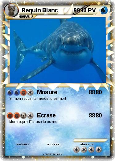 Pokemon Requin Blanc          99