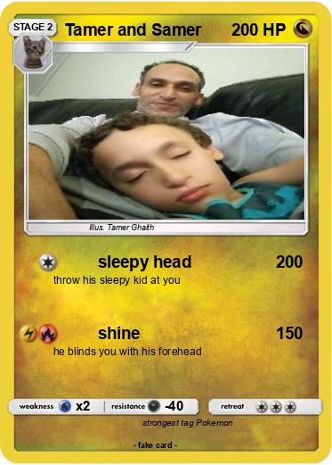 Pokemon Tamer and Samer