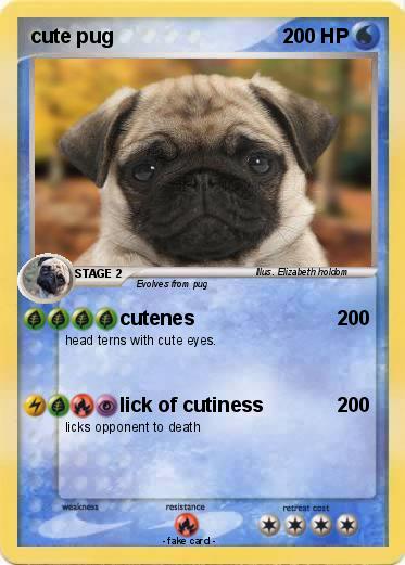 Pokemon cute pug