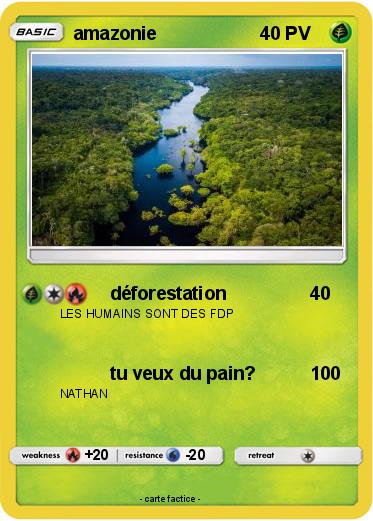Pokemon amazonie