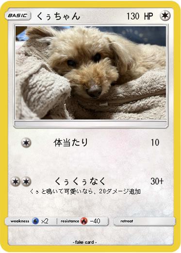 Pokemon くぅちゃん