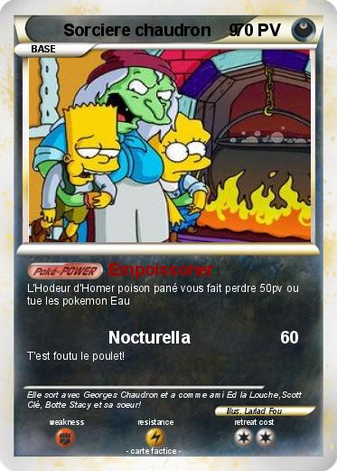 Pokemon Sorciere chaudron    9