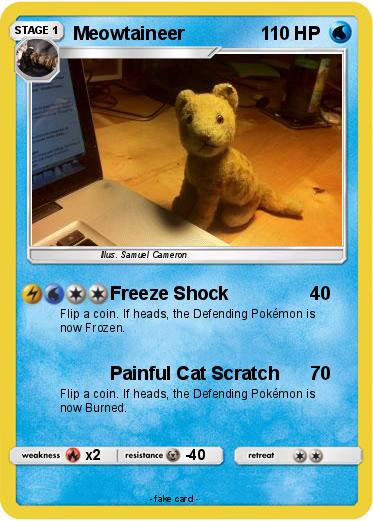 Pokemon Meowtaineer