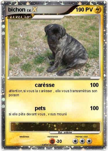 Pokemon bichon