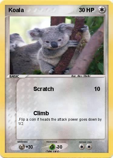 Pokemon Koala