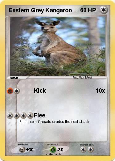 Pokemon Eastern Grey Kangaroo