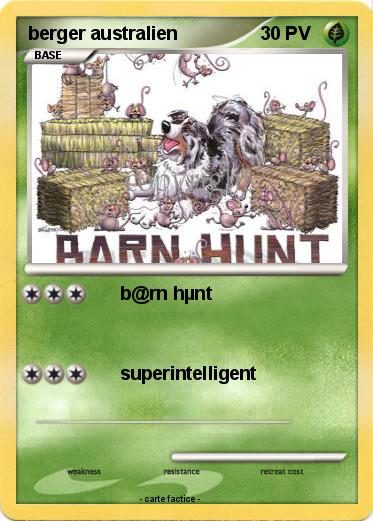 Pokemon berger australien
