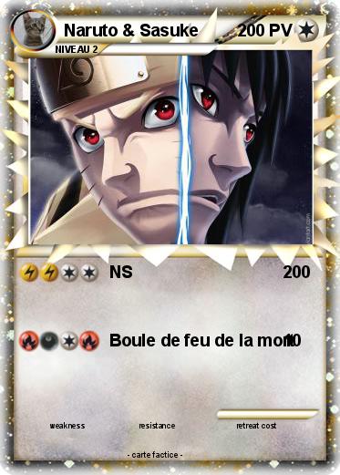 Pokemon Naruto & Sasuke
