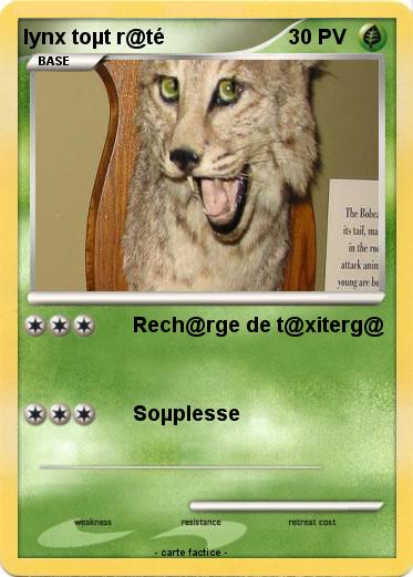 Pokemon lynx toµt r@té