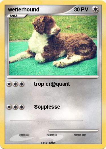 Pokemon wetterhound