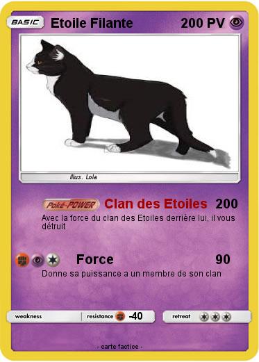 Pokemon Etoile Filante