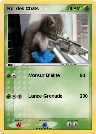 Pokemon Roi des Chats