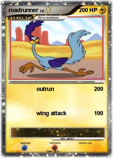 Pokemon roadrunner