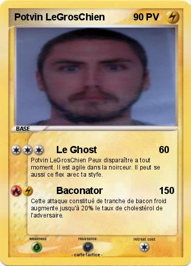 Pokemon Potvin LeGrosChien