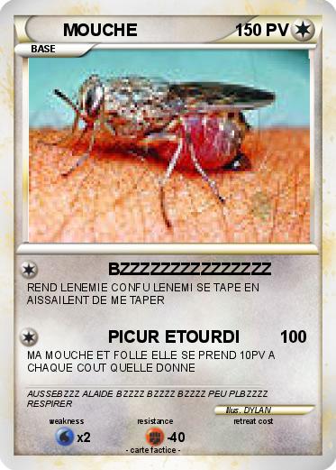 Pokemon MOUCHE