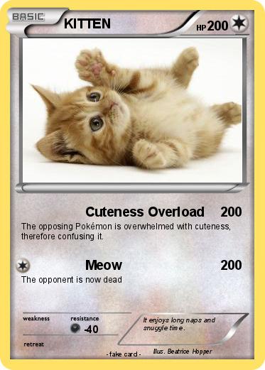 Pokemon KITTEN