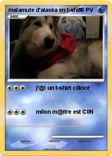 Pokemon malamute d'alaska en t-shirt