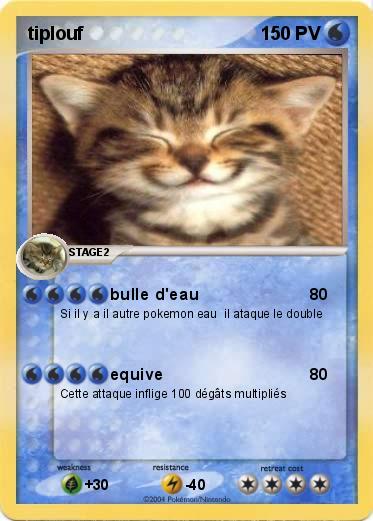 Pokemon tiplouf
