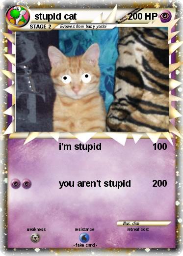 Pokemon stupid cat