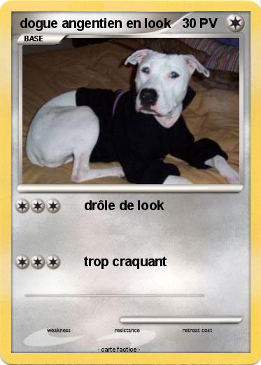 Pokemon dogue angentien en look
