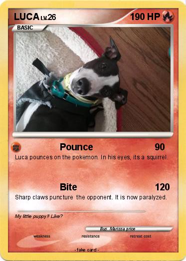 Pokemon LUCA