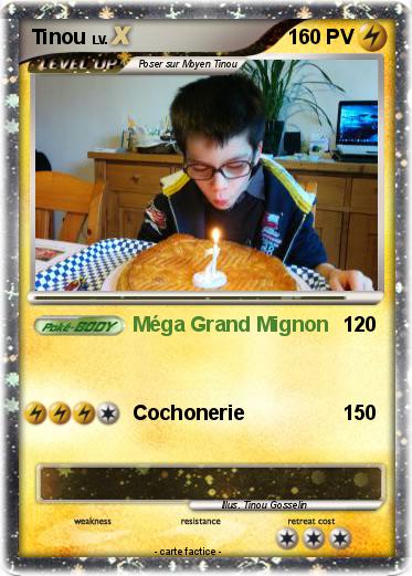 Pokemon Tinou