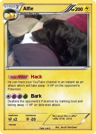 Pokemon Alfie