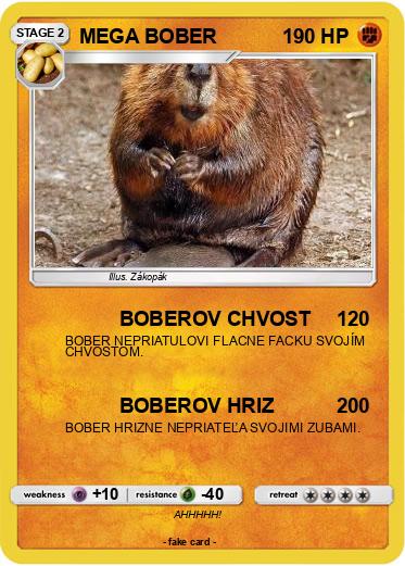 Pokemon MEGA BOBER