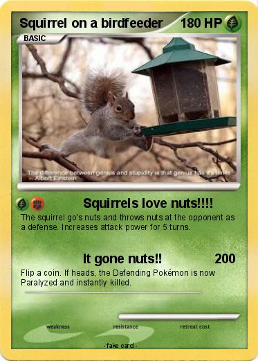Pokemon Squirrel on a birdfeeder