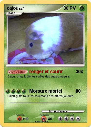Pokemon cajou